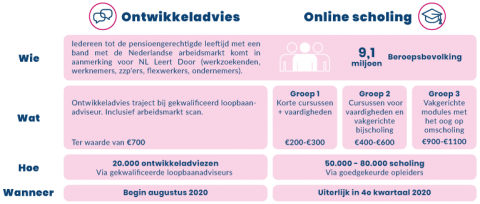 Subsidie Voor Bedrijven Met NOW 2.0 & 3.0 - NL Leert Door